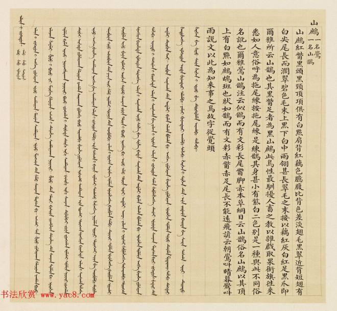 汉文满文字画《清人鸟谱册》传世字画