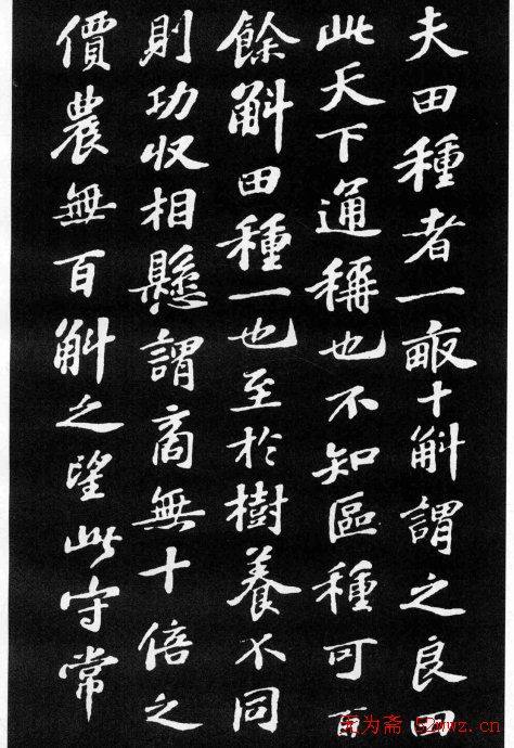 苏轼小楷《养生论》拓本苏黄米蔡
