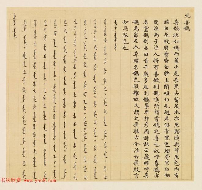 汉文满文字画《清人鸟谱册》传世字画