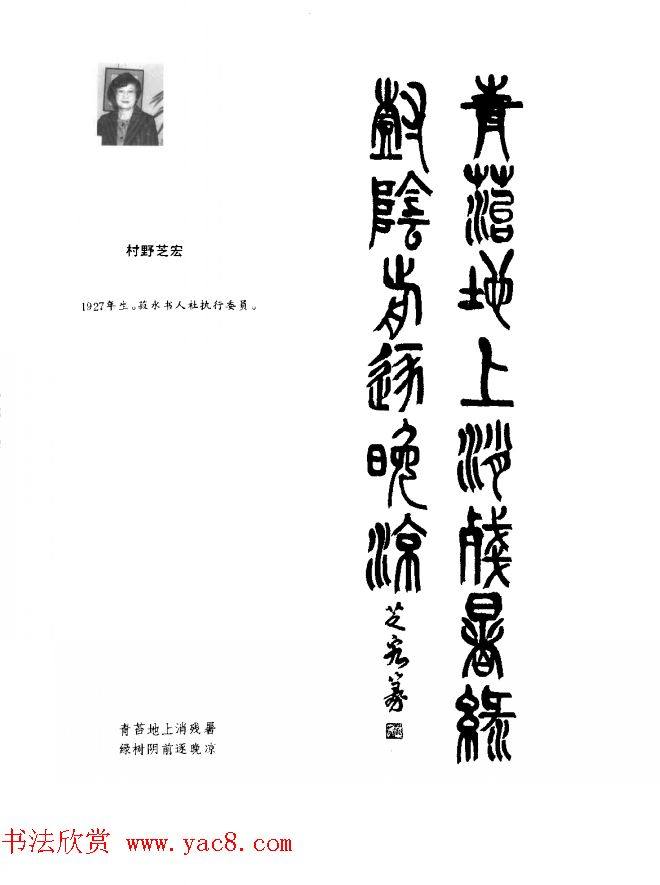 中日书法百家墨迹精华-日本书家作品书法图书