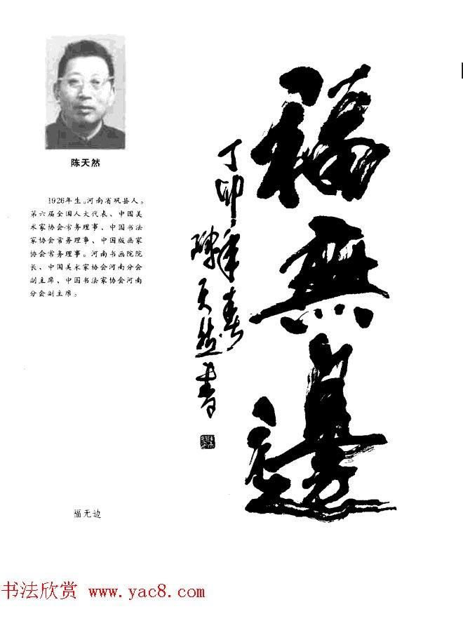 中日书法百家墨迹精华-中国书家作品书法图书