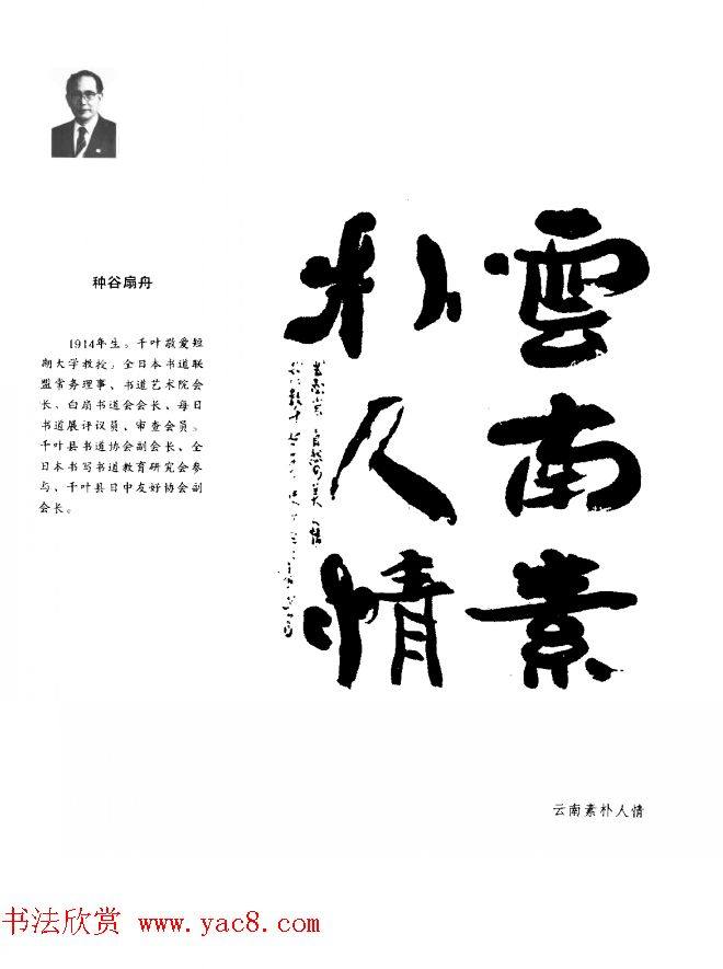 中日书法百家墨迹精华-日本书家作品书法图书