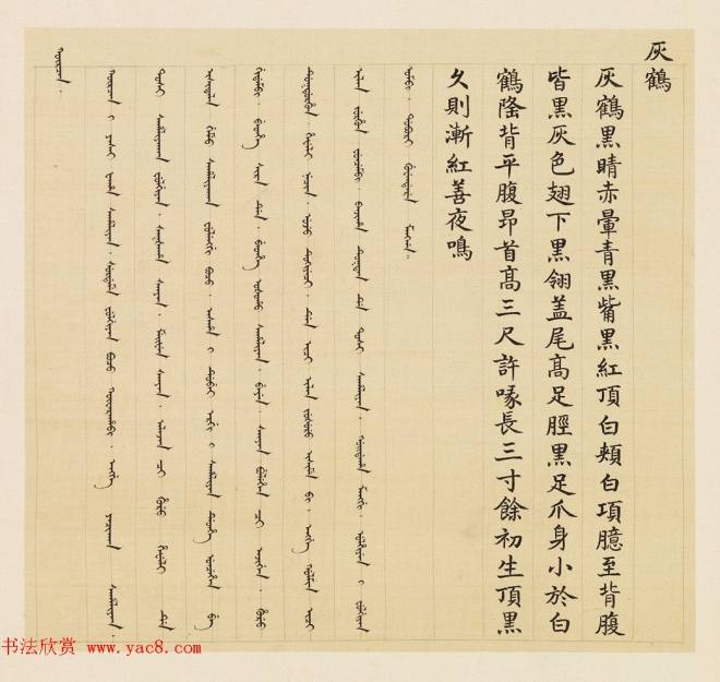 汉文满文字画《清人鸟谱册》传世字画