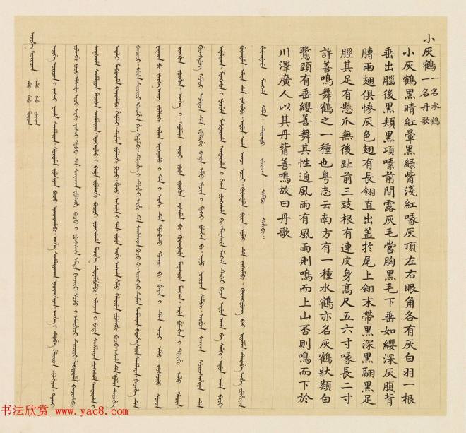 汉文满文字画《清人鸟谱册》传世字画