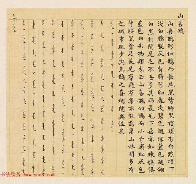 汉文满文字画《清人鸟谱册》传世字画