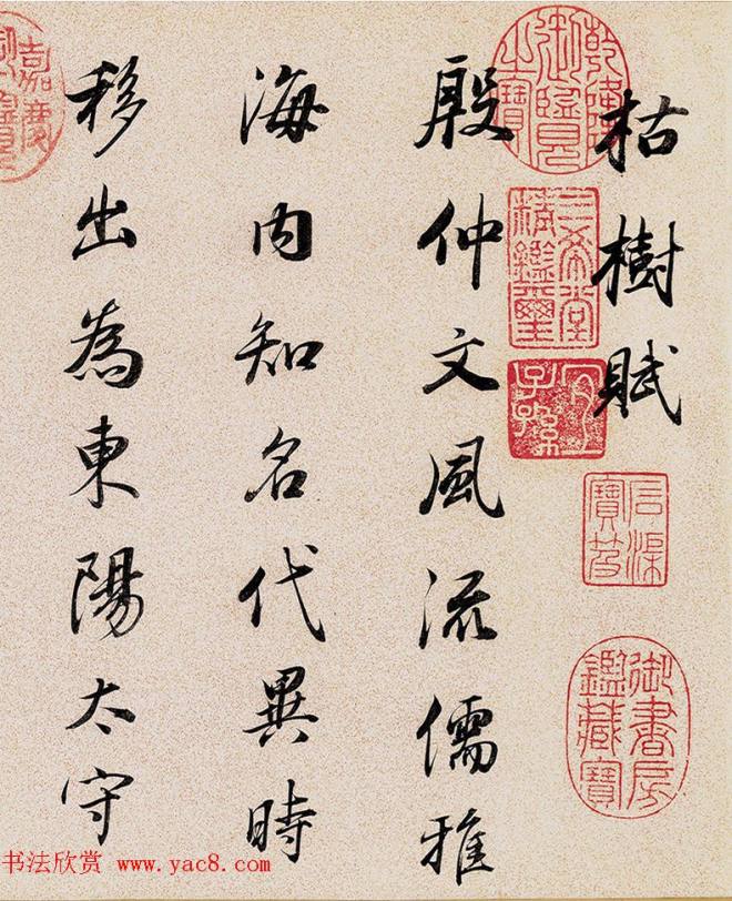 董其昌72岁行书临褚遂良枯树赋卷明清书家