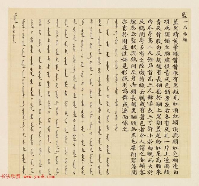 汉文满文字画《清人鸟谱册》传世字画