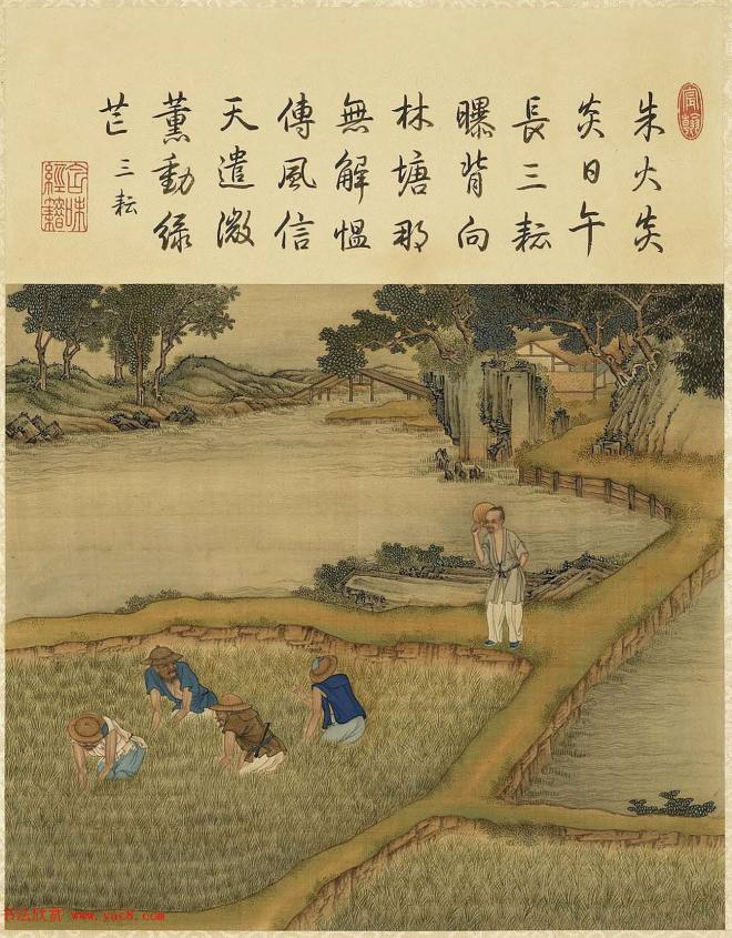 清代宫廷画师陈枚彩绘本《耕织图》传世字画