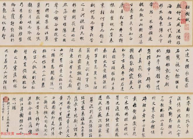 董其昌72岁行书临褚遂良枯树赋卷明清书家