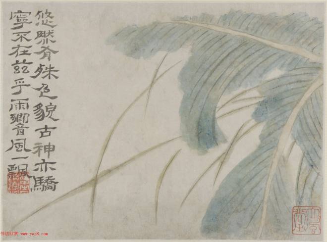 清代画家石涛花卉图册 美国弗利尔美术馆藏传世字画