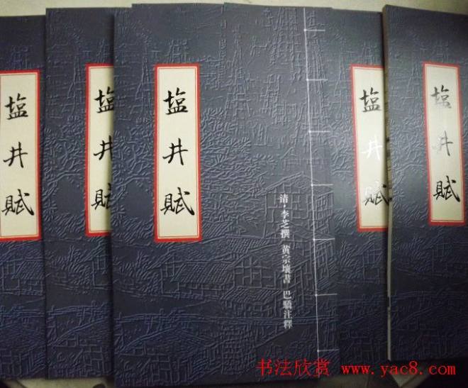 黄宗壤书法鉴赏《盐井赋》册页书法空间