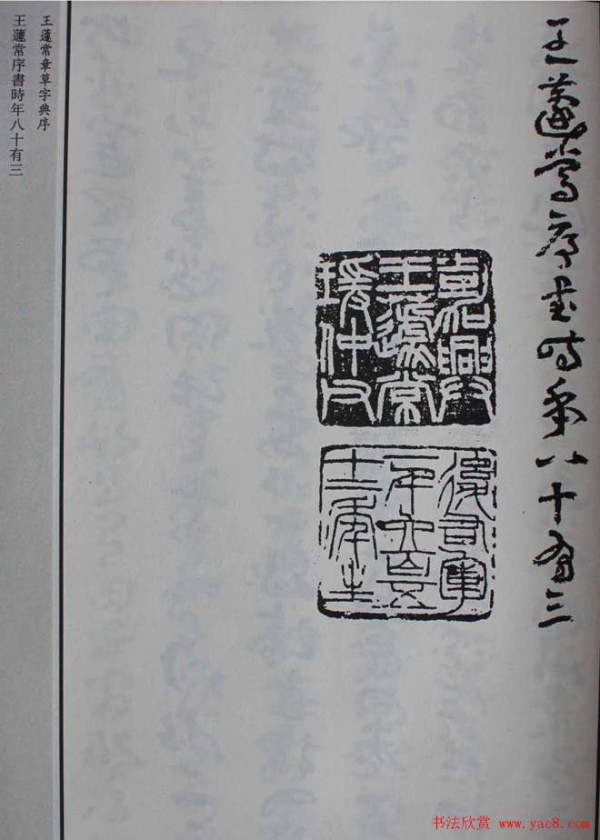 王遽常草书《章草字典序》书法空间