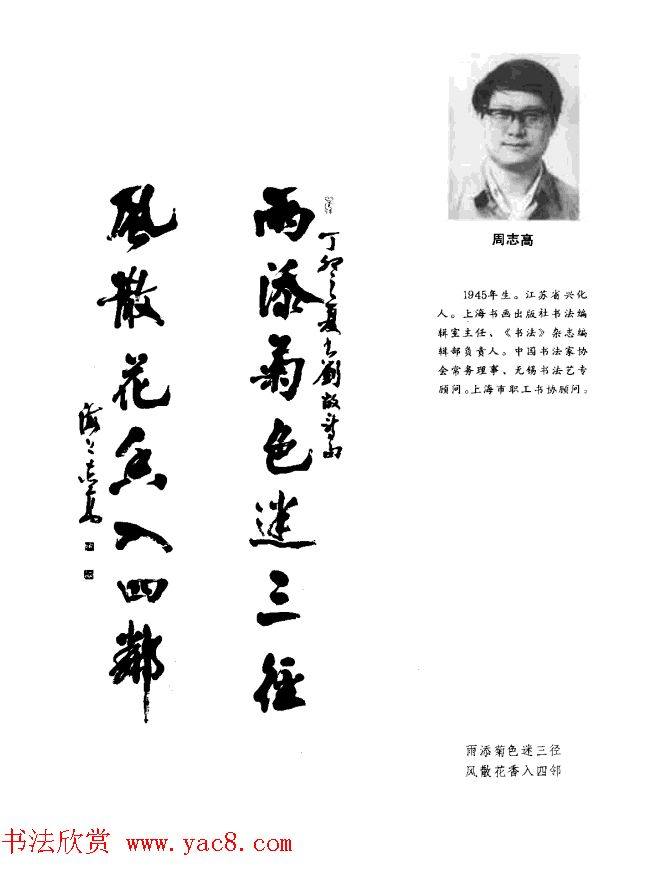 中日书法百家墨迹精华-中国书家作品书法图书