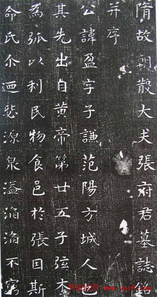 清雅楷法《隋张盈夫妇墓志》墓志塔铭