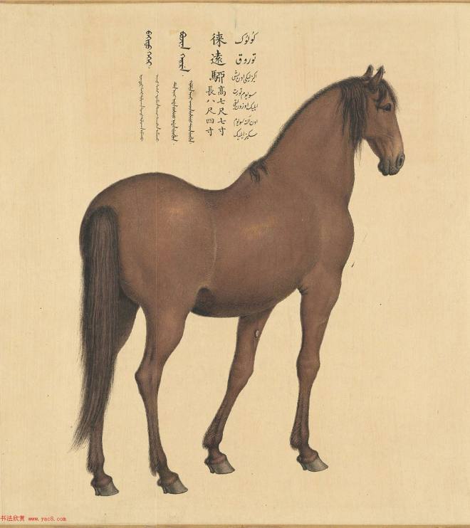 乾隆御笔书《爱乌罕四骏歌》附郎世宁画马传世字画