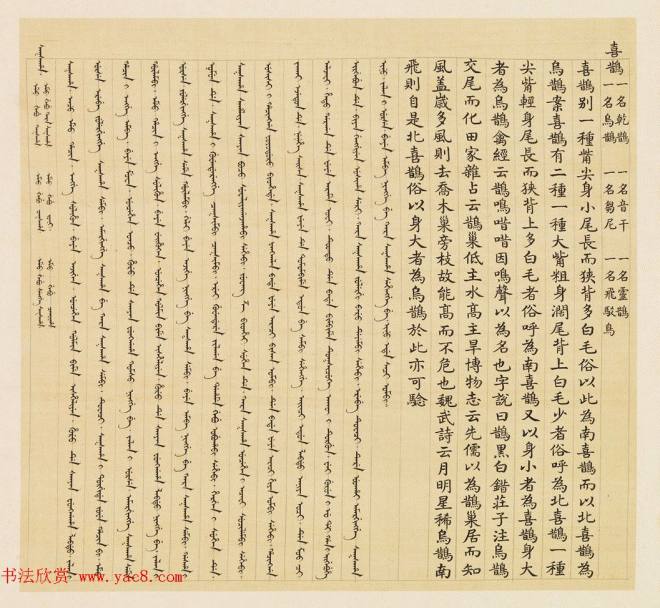 汉文满文字画《清人鸟谱册》传世字画