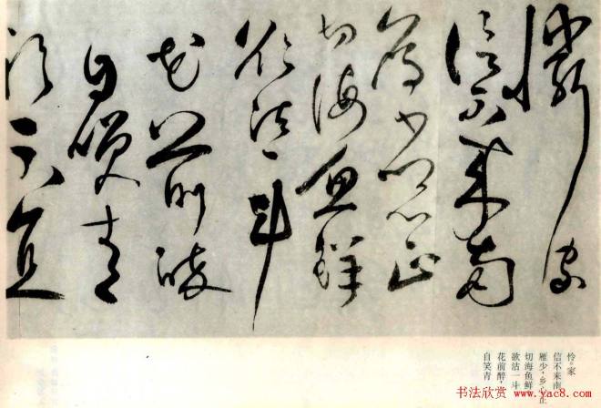 张弼草书《题水月轩手卷》明清书家