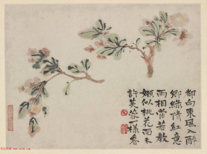 清代画家石涛花卉图册 美国弗利尔美术馆藏传世字画