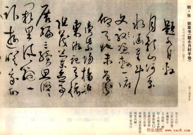 张弼草书《题水月轩手卷》明清书家
