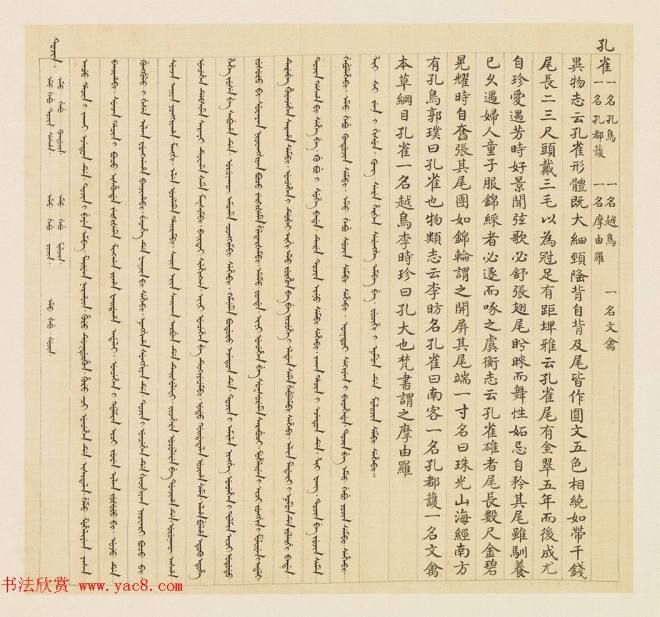 汉文满文字画《清人鸟谱册》传世字画