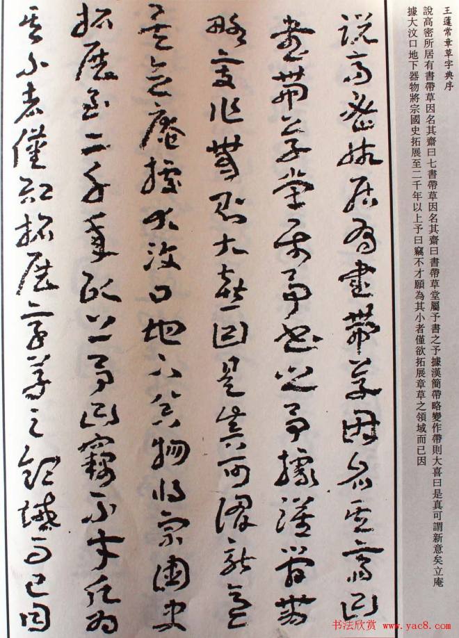 王遽常草书《章草字典序》书法空间