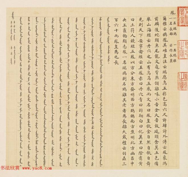 汉文满文字画《清人鸟谱册》传世字画