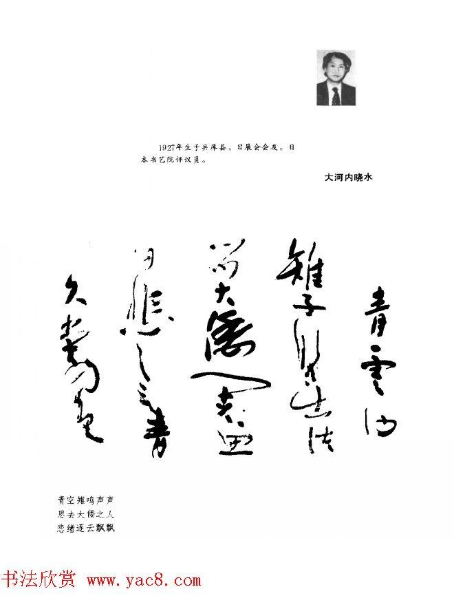 中日书法百家墨迹精华-日本书家作品书法图书