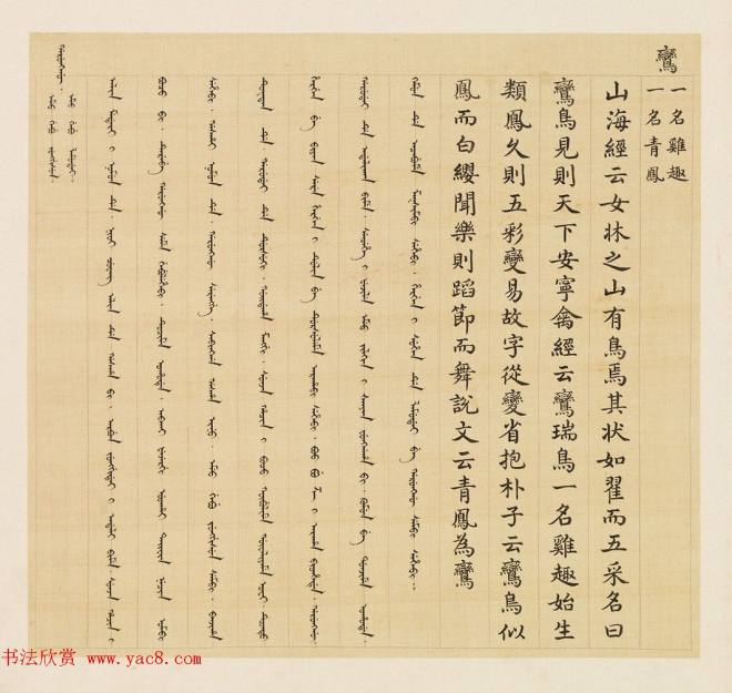 汉文满文字画《清人鸟谱册》传世字画