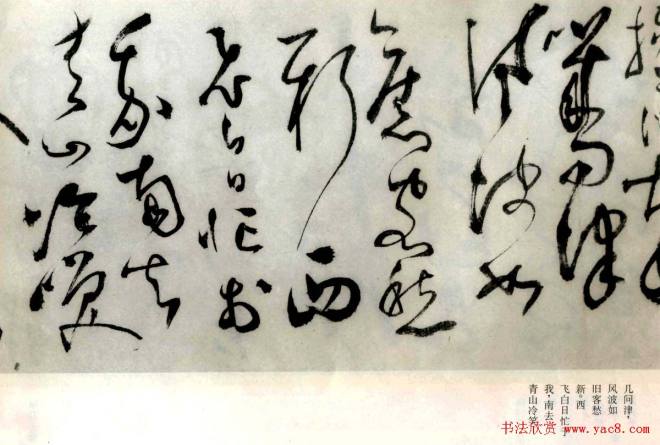 张弼草书《题水月轩手卷》明清书家