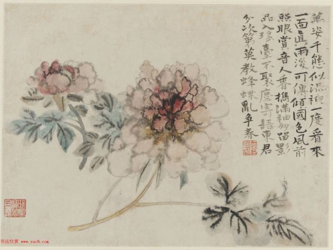 清代画家石涛花卉图册 美国弗利尔美术馆藏传世字画