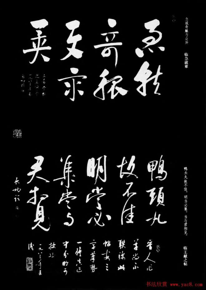 现代书法作品集《启功书法选》书法图书