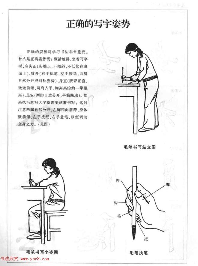 海南版精品字帖《毛笔楷书实用教程-楷书笔画》楷书字帖