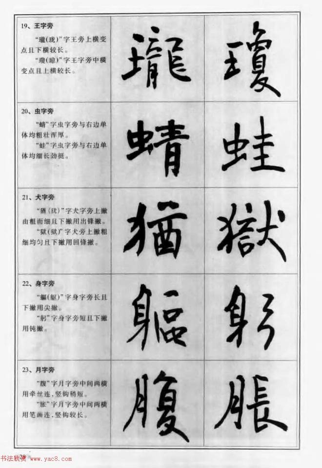 毛笔字帖教程《行书入门大字谱》行书字帖